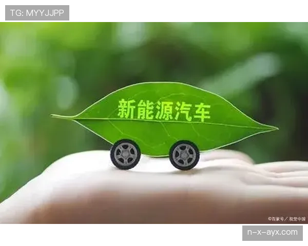 布兰特技术革命驱动行业转型，未来发展前景备受关注