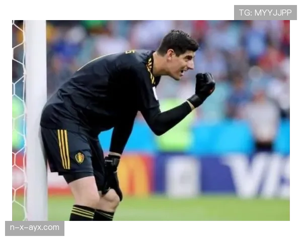 库尔图瓦世界杯表现回顾 库尔图瓦世界杯表现回顾